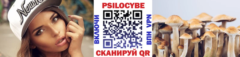 наркотики  Сергач  Псилоцибиновые грибы Psilocybe 